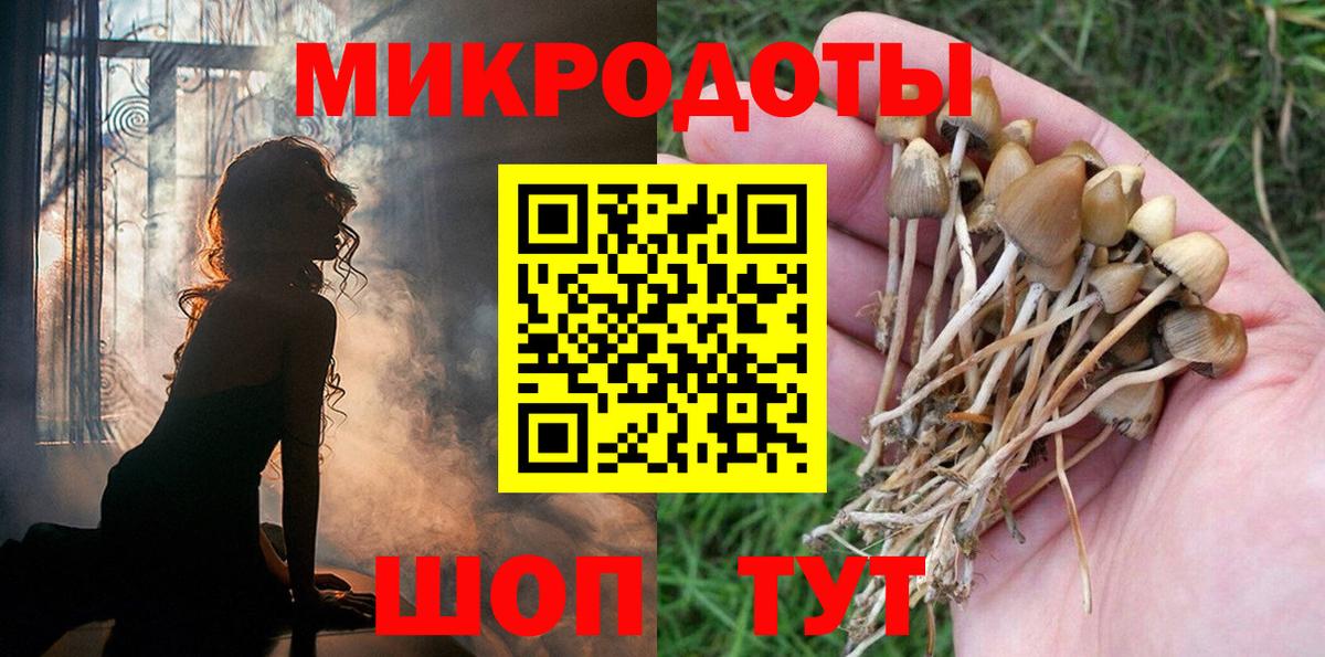 Галлюциногенные грибы Psilocybe  Вход с VPN  Ялуторовск 