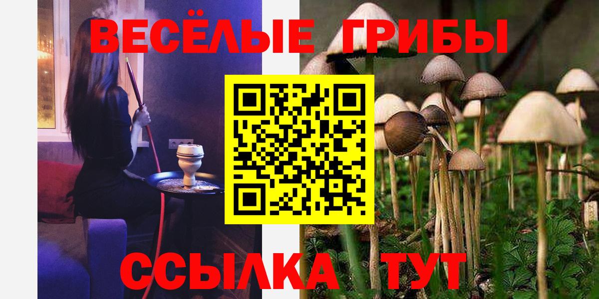 Галлюциногенные грибы мицелий Ялуторовск